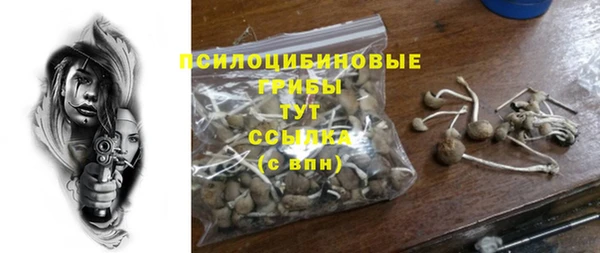 сатива Верхний Тагил