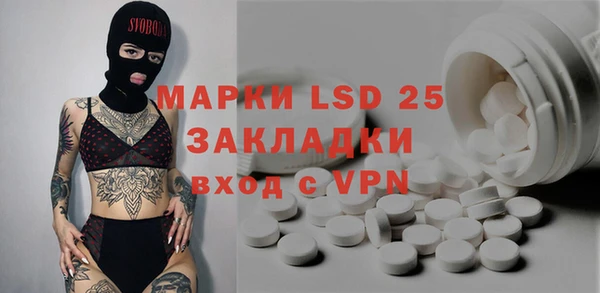 амф Богданович