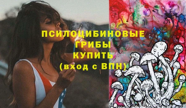 прущая мука Богородицк