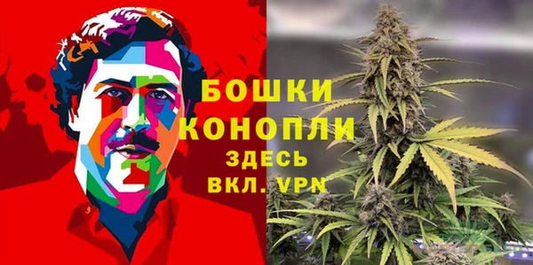 амф Богданович