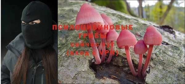 сатива Верхний Тагил