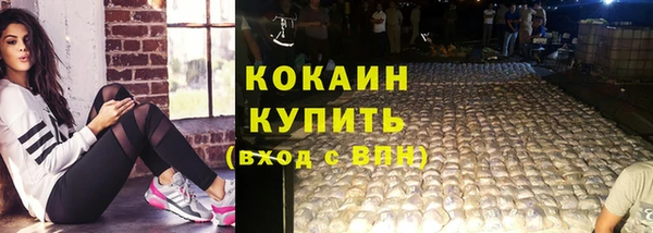 амф Богданович